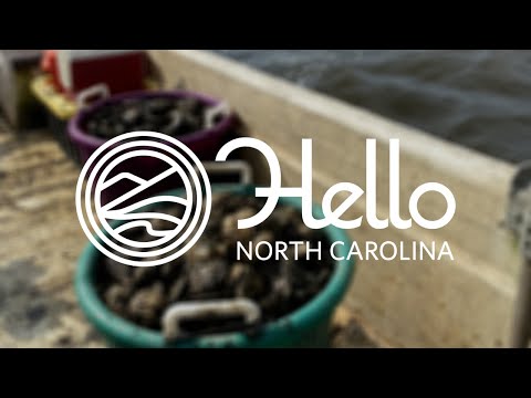 , title : 'NC Oyster Farming - Sustainable Coastal Business'