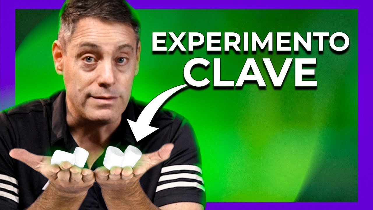 El poder de la DISCIPLINA ¿Por qué algunos son más exitosos en la vida?