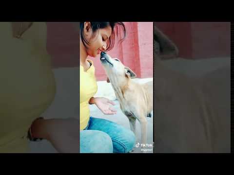 Doggy Girl Romance With Girl