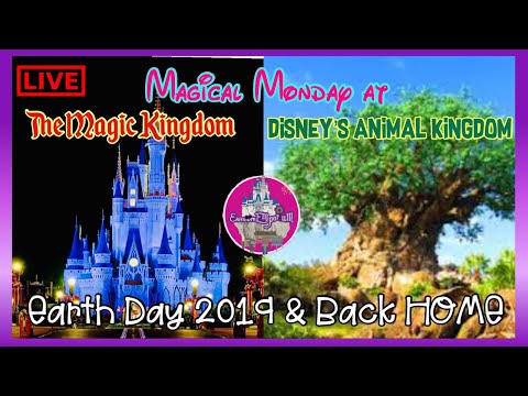 🔴Live:Magical Monday at Disney’s Animal Kingdom|The Magic Kingdom|Earth Day.Party for the Planet