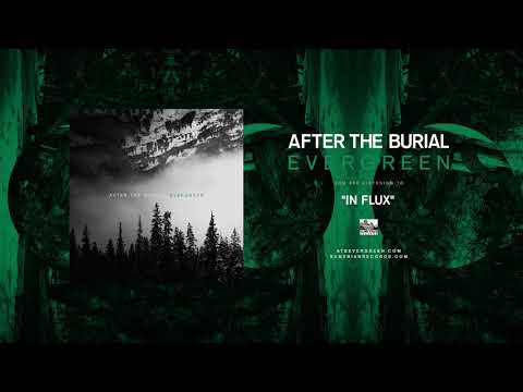 AFTER THE BURIAL - In Flux