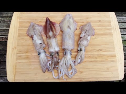 Jigging For Squid at Night | Catch Clean Cook