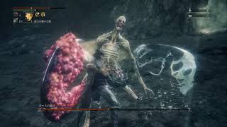 Bloodborne Parrying ブラッドボーンパリィ集