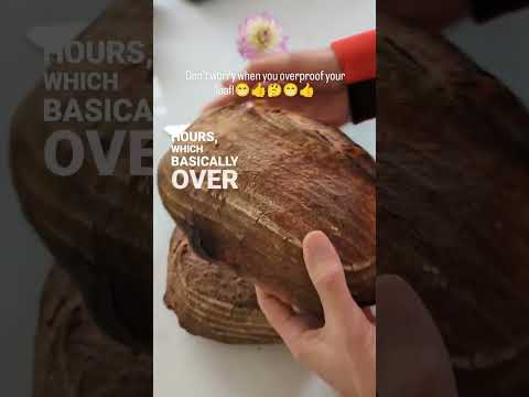 Always learning! overproofed your dough, don't worry about it.