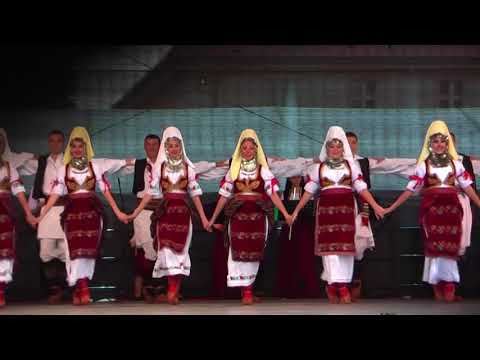 Danetzare 2018 - Serbien / Academic ensemble MMJ
