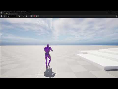 LocomotionTestShowcase