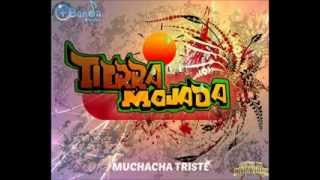 MUCHACHA TRISTE (CANTADA) - BANDA TIERRA MOJADA ESTRENO 2014