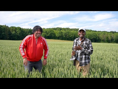 Bovann nimmt Ikke Hüftgold mit nach Afrika | Summerfield Kartell entführt Buffon.