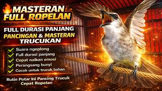 Download lagu TRUCUKAN GACOR FULL ROPEL PANJANG || pancingan, masteran terbaik untuk trucuk dan burung lainya mp3 Download lagu TRUCUKAN GACOR FULL ROPEL PANJANG || pancingan, masteran terbaik untuk trucuk dan burung lainya mp3