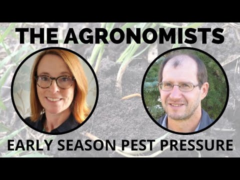 The Agronomists, Ep 152: Early season pest pressure