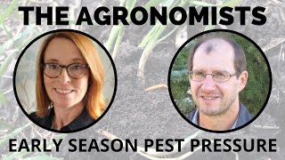 The Agronomists, Ep 152: Early season pest pressure