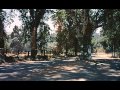 Pollyanna 1960 Opening