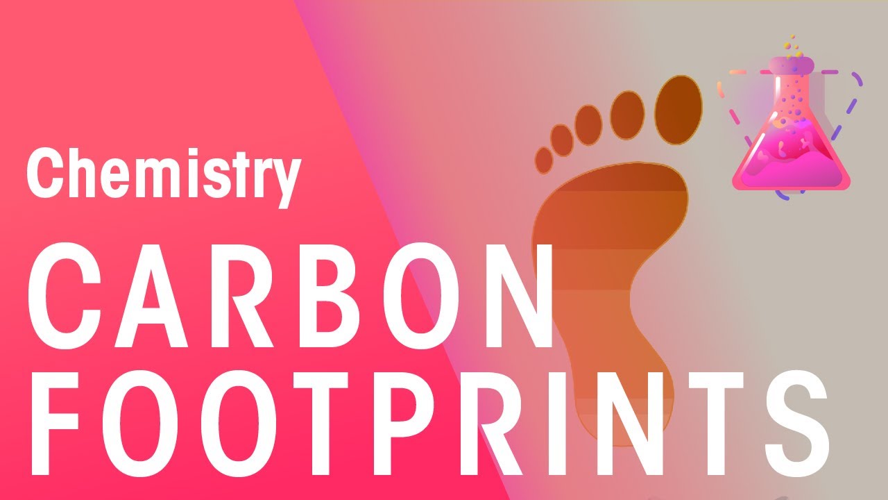 What Are Carbon Footprints | Environmental Chemistry | Chemistry | FuseSchool