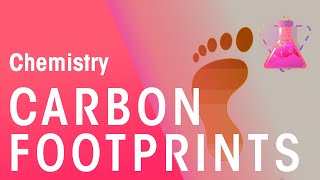 What Are Carbon Footprints | Environmental Chemistry | Chemistry | FuseSchool