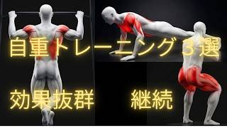 筋トレが継続できない人へ|おすすめ自重トレーニング３選＆具体的な方法