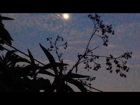 //rook1e x meltycanon\\ - Breath slow.