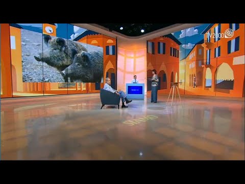 Siamo Noi, 16 giugno 2021 – Specie aliene e fauna incontrollata: biodiversità a rischio