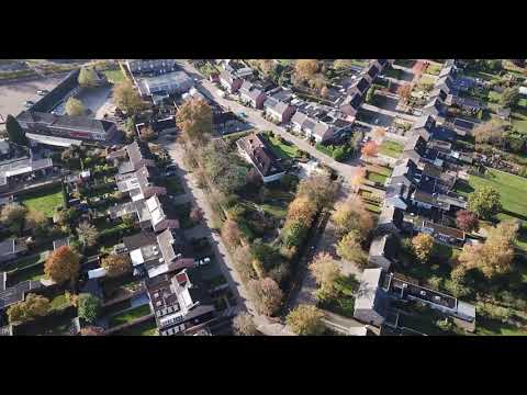 Boskant Lijsterbesstraat 2 a