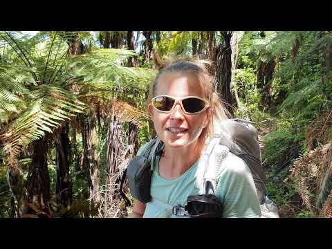 Te Araroa New Zealand  2019/2020 - Day 27: Waitamo, Te Kuiti  / km 871