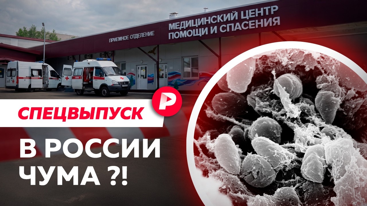 Грозит ли России эпидемия чумы?