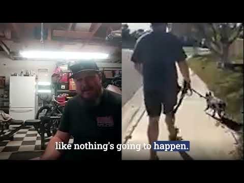 Homeschool by LAY LO: Dog training with world-class experts video.