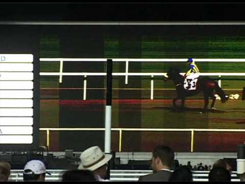 Dubai Golden Shaheen 2010 (Behind The Scenes with Rocket Man)