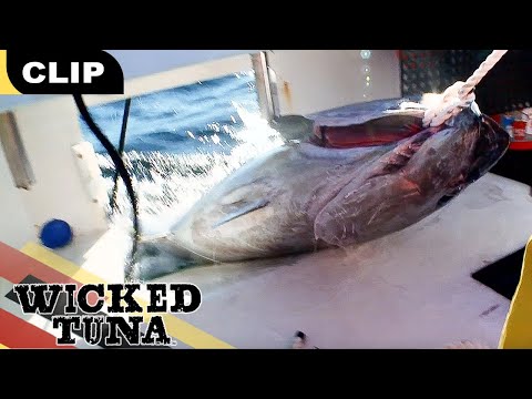 Captain Paul's $12K Fishing Trip | S2E14 | Wicked Tuna