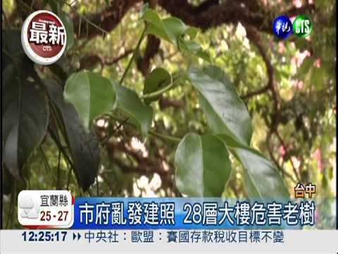 台中護千年老樹 2.5億全民買單