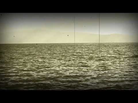 Miodrag Mile Bogdanović, TO, Čuvah ovce tri godine