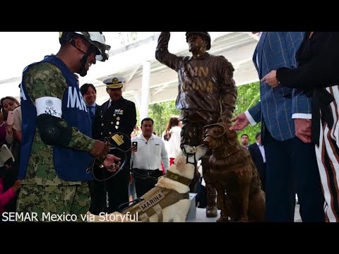 Mexican Rescue Dog Frida Passes Away