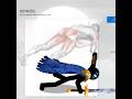 General Xiphos Atreyos And Spearos Workout 5x30 Min Edit Stick War Saga Shorts Stickwarlegacy