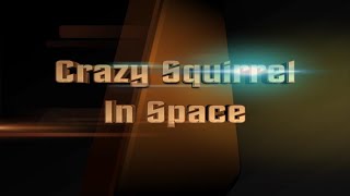 Crazy Squirrel In Space