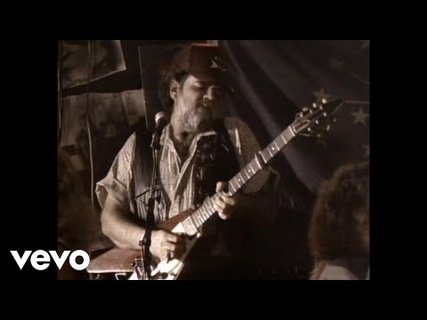 Lonnie Mack - Too Rock For Country, Too Country For Rock And Roll