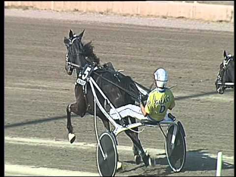 Trotto 29/04/2016 - 6° Corsa