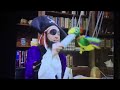 Quiet Infernal Bird