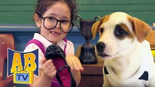 Kids TV Shows | Puppy Pre School - Mystery Of The Missing Shoe | Air Bud TV | Funny Kids Videos