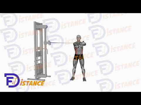Russian Twists debout avec câble - Exercice Russian Twists debout avec câble en vidéo