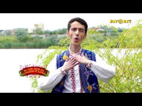 Laurentiu Ciorogaru   Sus in deal la Murfatlar