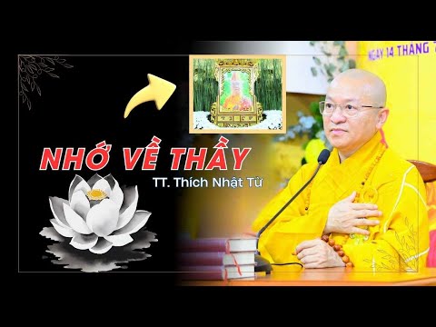 Tâm tình thầy trò và hành trình phụng sự - Thầy Nhật Từ chia sẻ