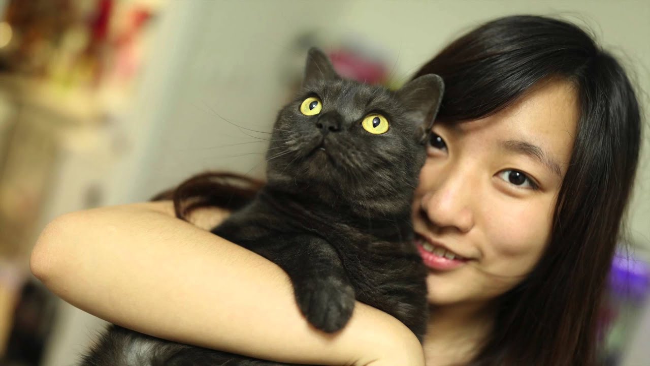 Объектив Canon EF 35mm f/1.4L II USM