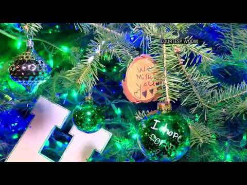 A Wisconsin girl who investigators believe was kidnapped after her parents were killed two months ago is being honored in her hometown with a Christmas tree adorned with messages of hope for her safe return. (Dec. 13)