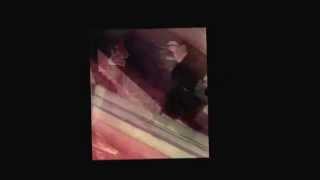 Terrion - Day In The Life VLOG #4