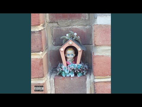 The Wolf In Sheeps Skin