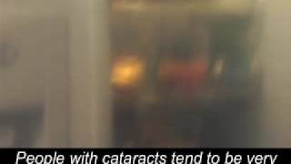 Vision Simulations - www.visionaware.org