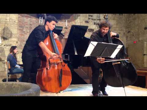 140830 Zoran Marković, Todor Marković, Stiftfestival Weerselo.