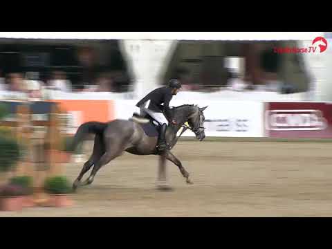 REFERENCE Casaltina (Casall X Corrado) Final Bundeschampionate