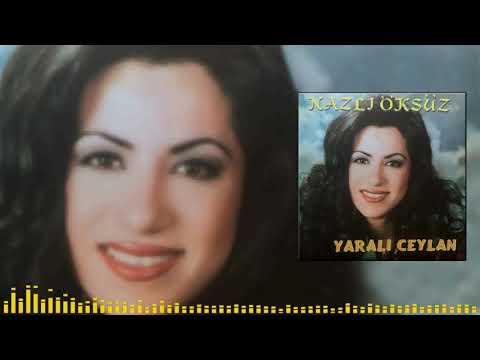 Nazlı Öksüz - Yaradana Dilekçe [Official Audio]