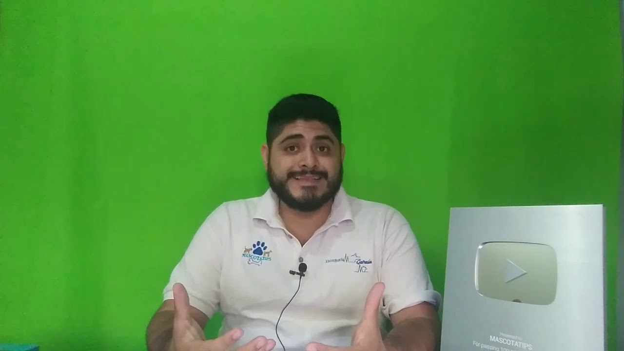 ¿ PARA QUE SE RECETA LA AMOXICILINA EN MASCOTAS