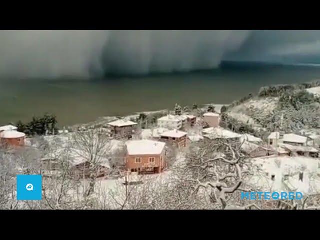 youtube video id=Dwvd1UulTOI