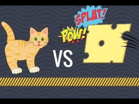 Bengal Cats React To : New Scientific Cat vs Cheese Challenge 2019 Epic Funny Compilation - Ep.14